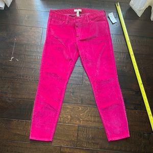 Banana Republic magenta corduroy pants